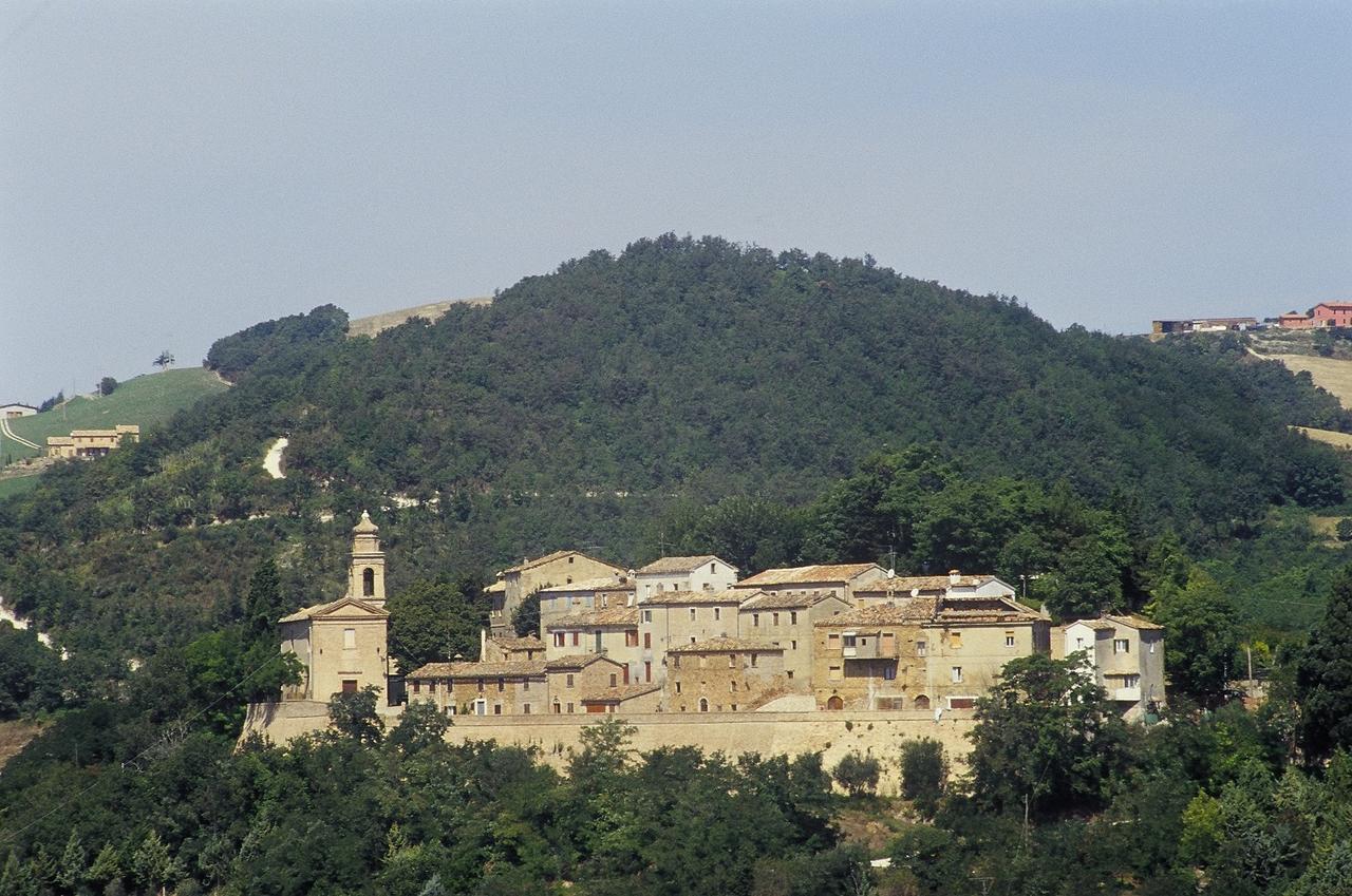 Serrungarina Agriturismo Pozzuolo מראה חיצוני תמונה