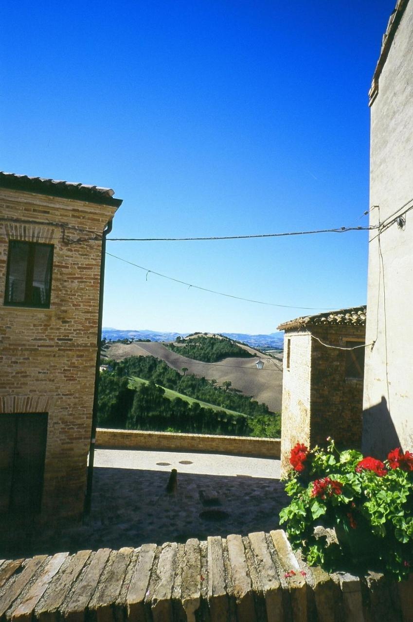 Serrungarina Agriturismo Pozzuolo מראה חיצוני תמונה