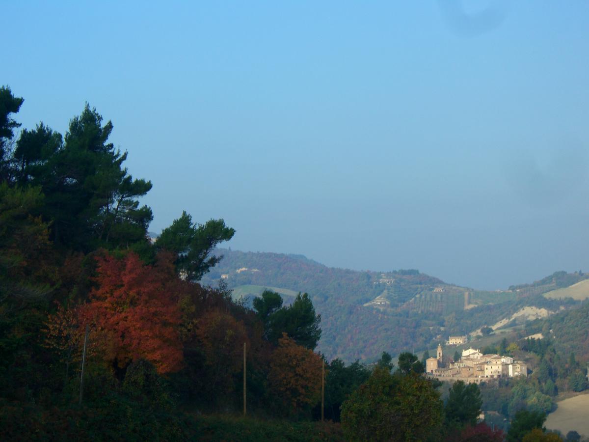 Serrungarina Agriturismo Pozzuolo מראה חיצוני תמונה