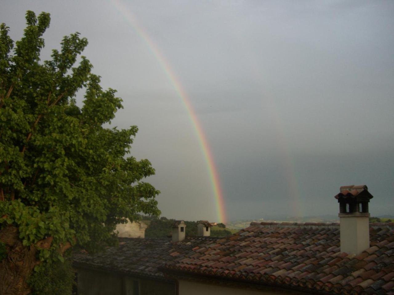 Serrungarina Agriturismo Pozzuolo מראה חיצוני תמונה