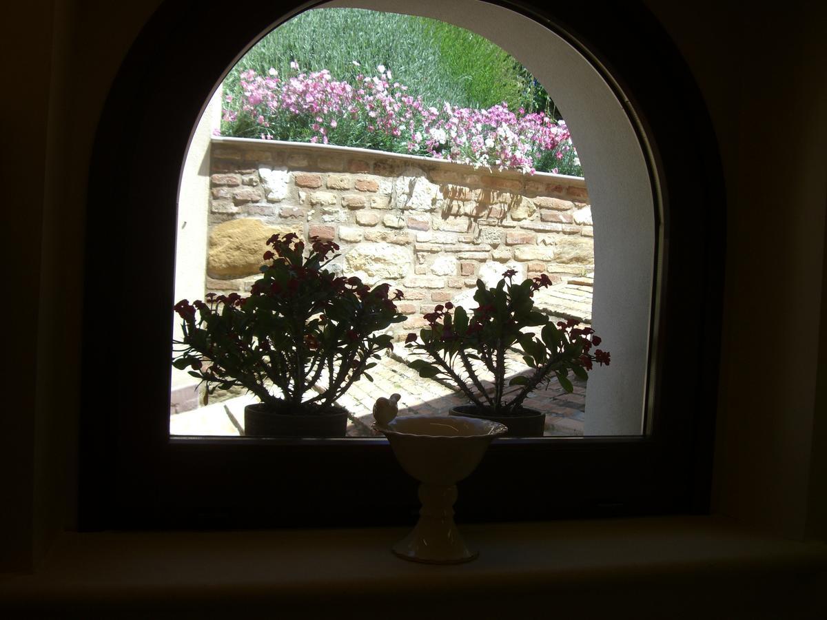 Serrungarina Agriturismo Pozzuolo מראה חיצוני תמונה