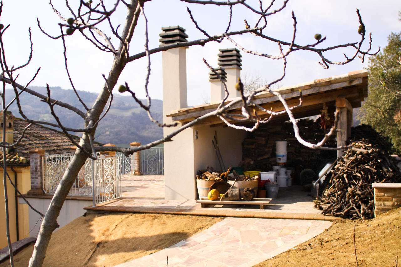 Serrungarina Agriturismo Pozzuolo מראה חיצוני תמונה