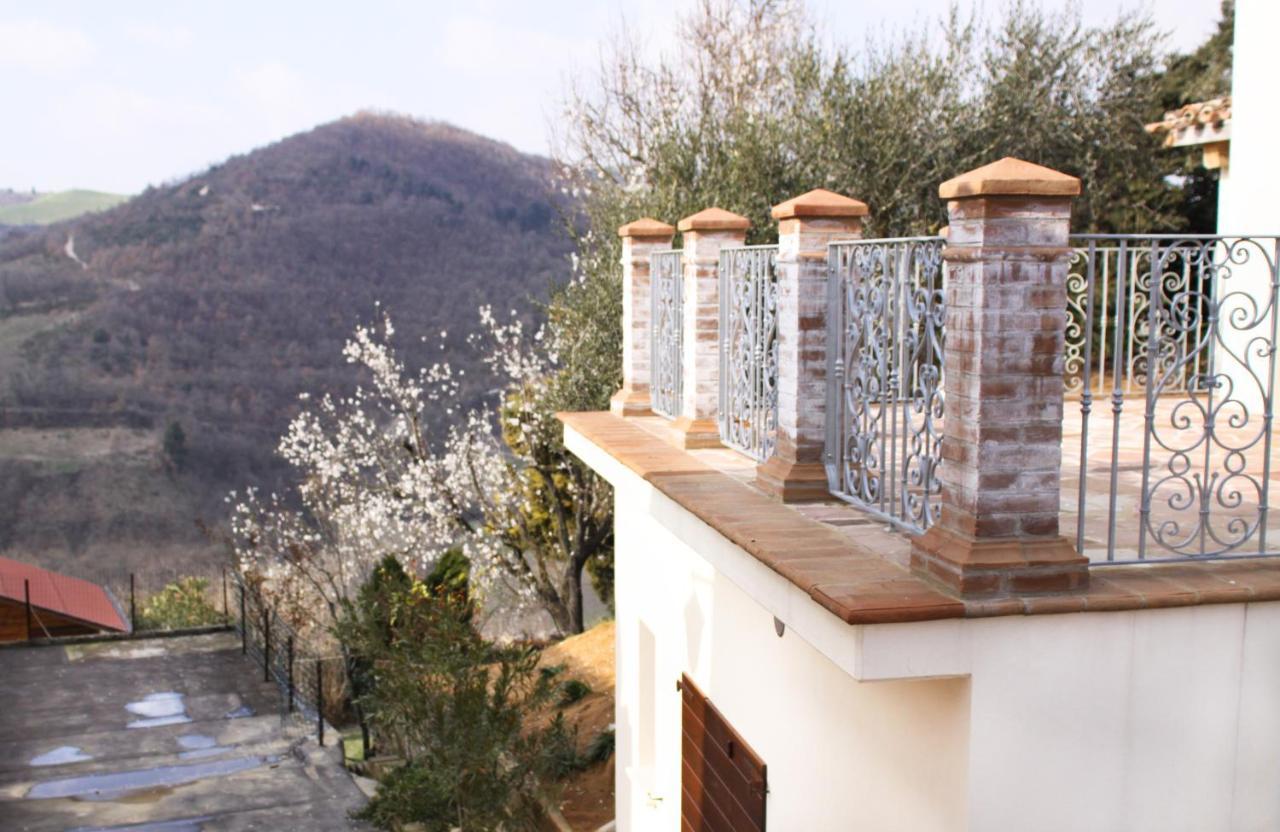 Serrungarina Agriturismo Pozzuolo מראה חיצוני תמונה