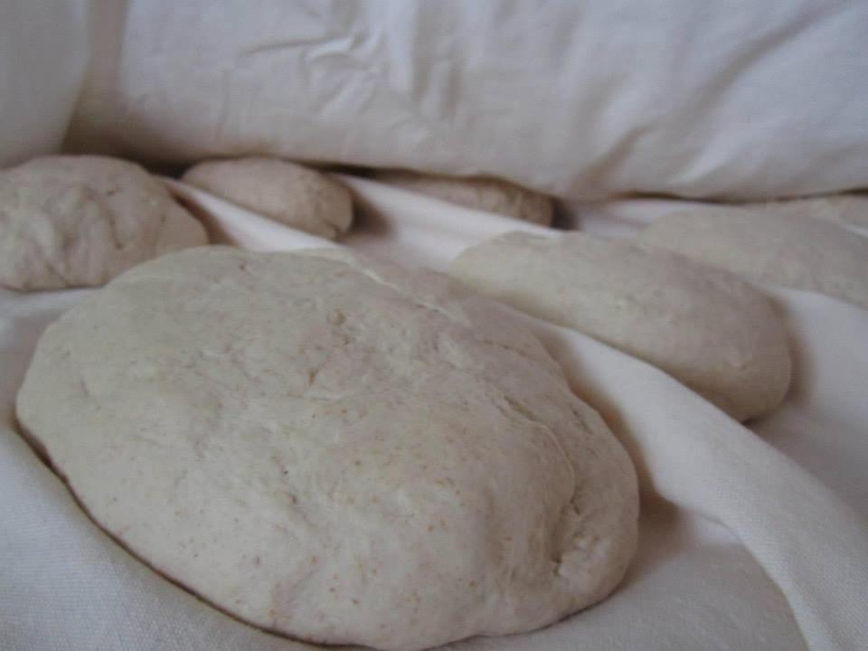 Serrungarina Agriturismo Pozzuolo מראה חיצוני תמונה